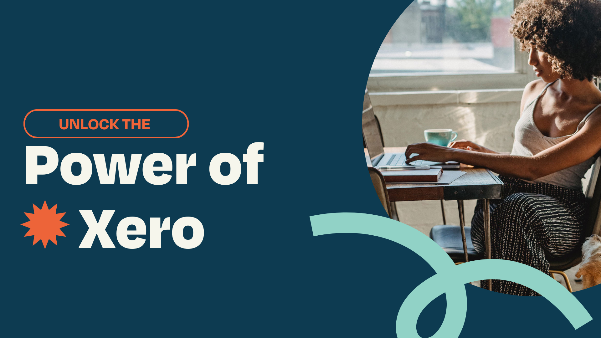 Unlock the Power of Xero | Accountingprose